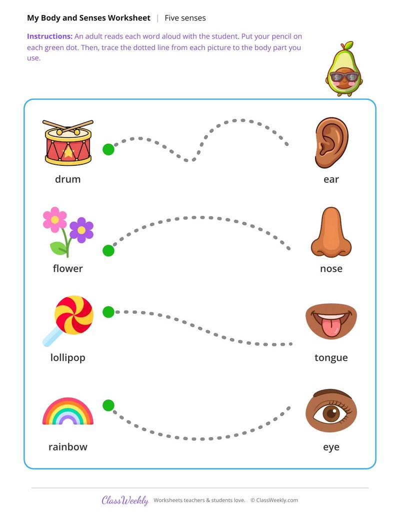 Trace to the sense - Senses paths