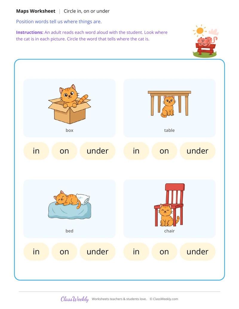In, On or Under? Where Is the Cat?
