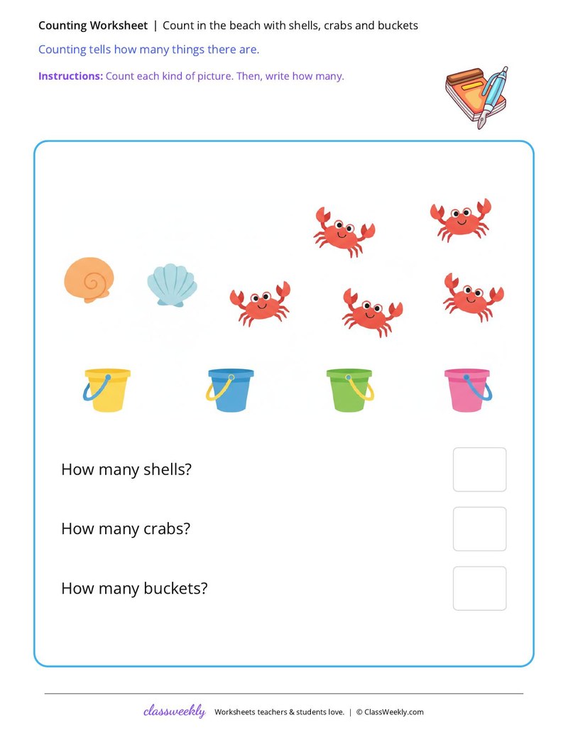 Count at the beach with shells, crabs and buckets
