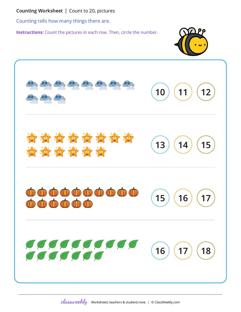 Set 5