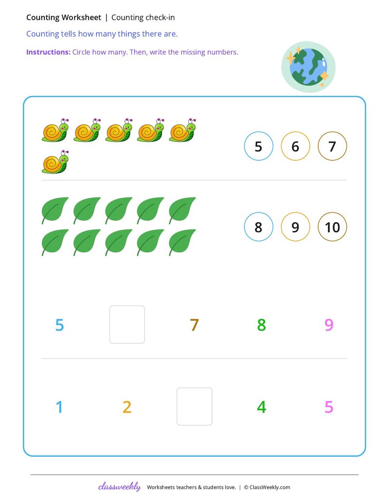 Set 5
