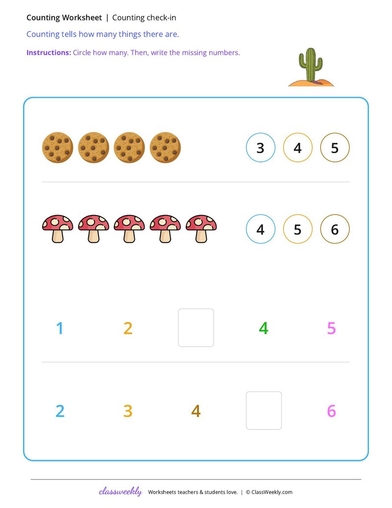 Set 6