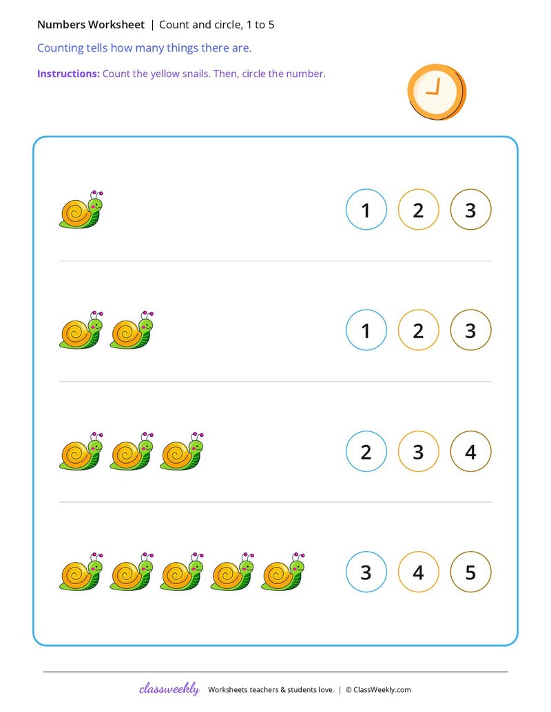 Set 5