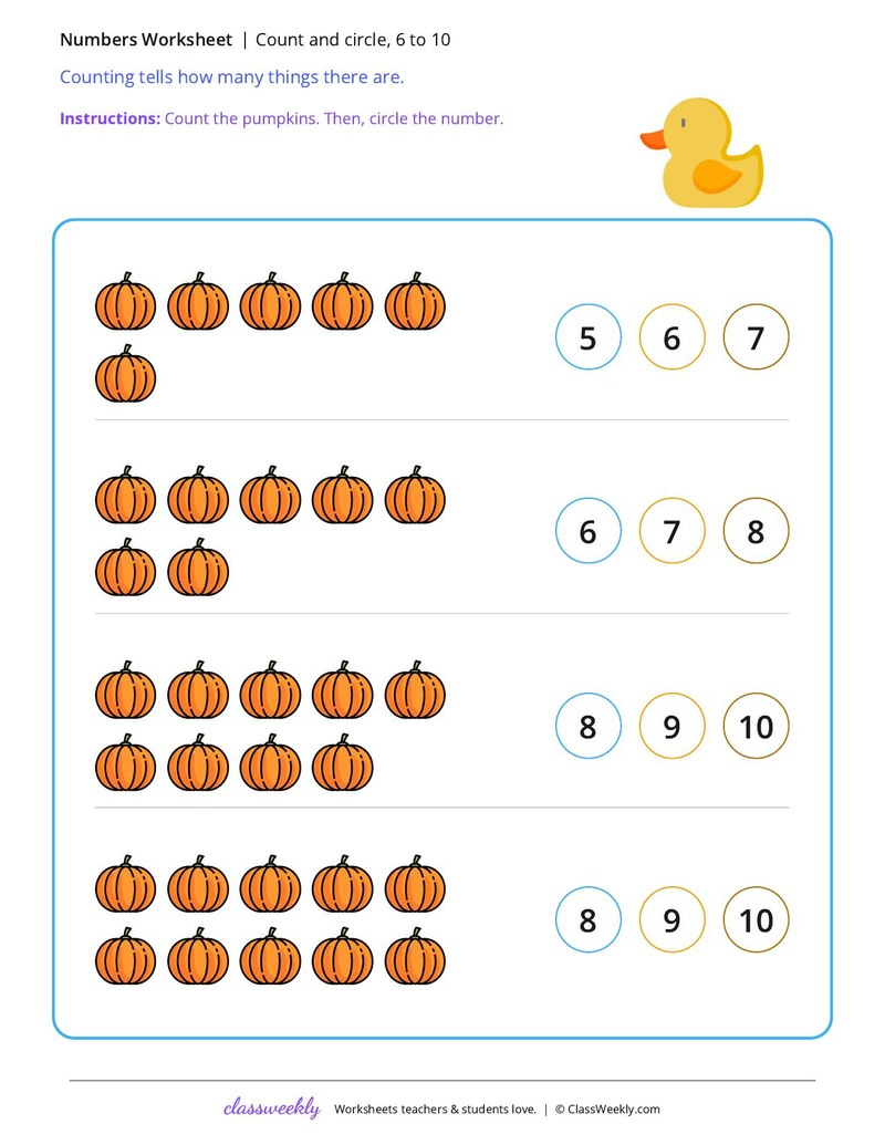 Set 5