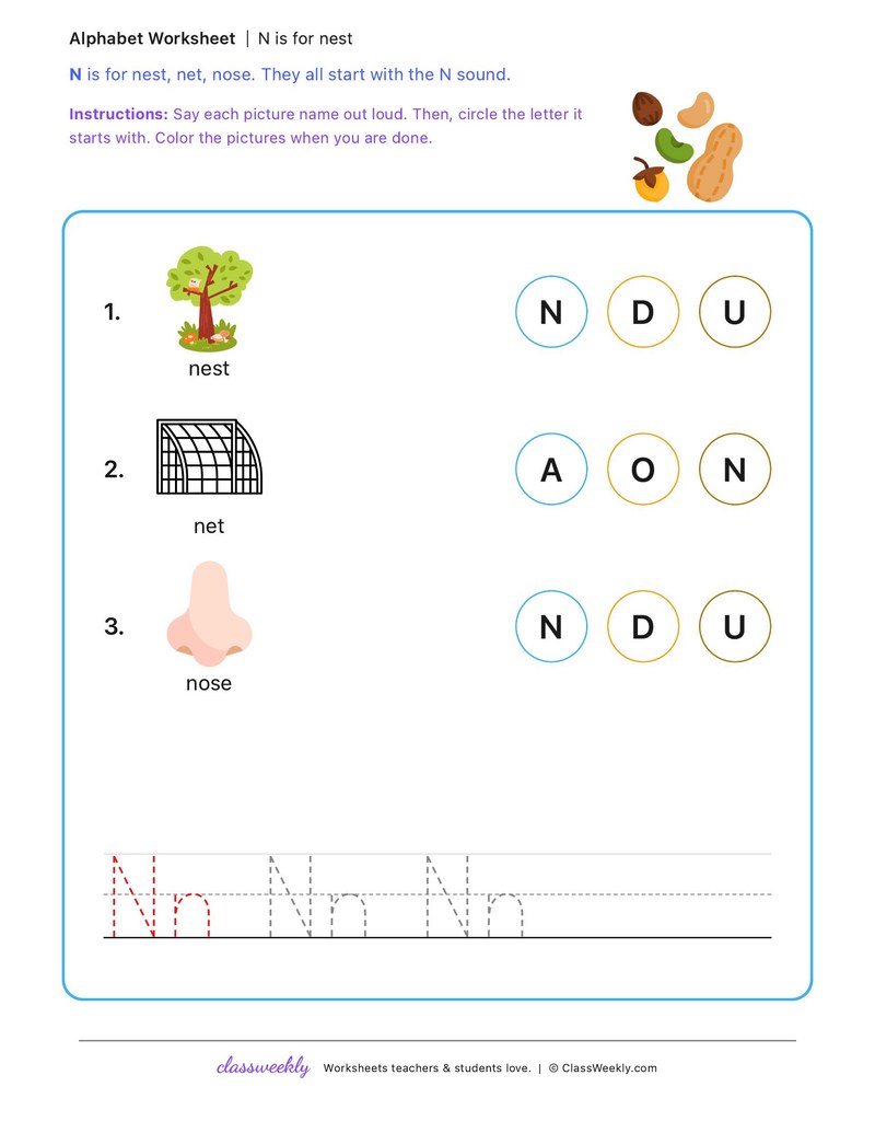 N is for nest