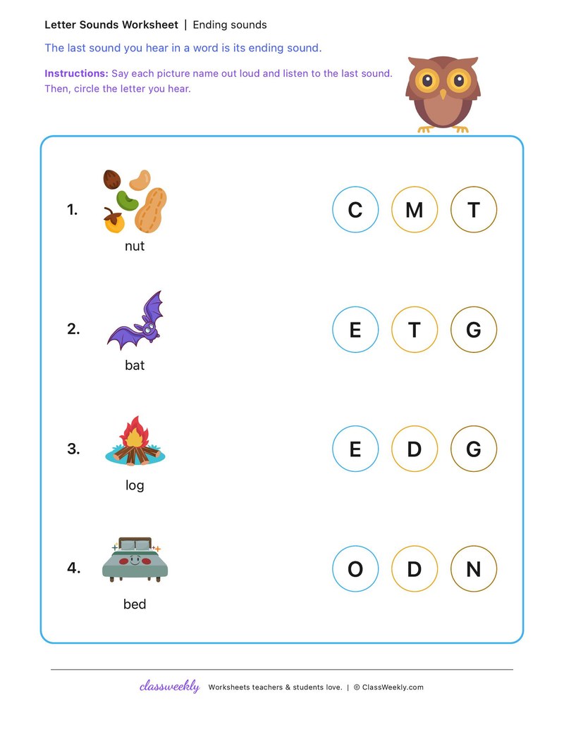 Set 5