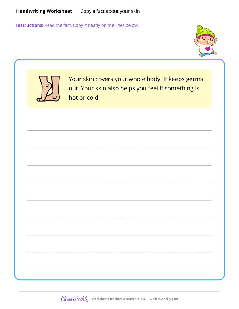 Human Body