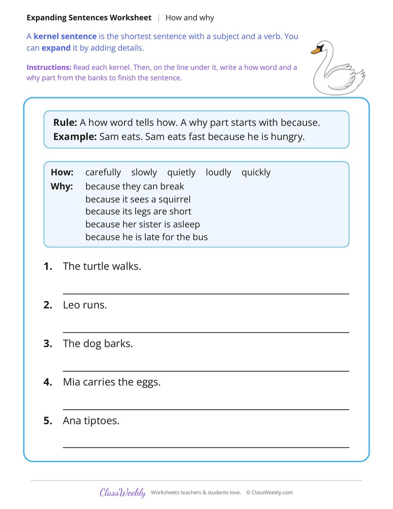 Expand a Sentence With How and Why