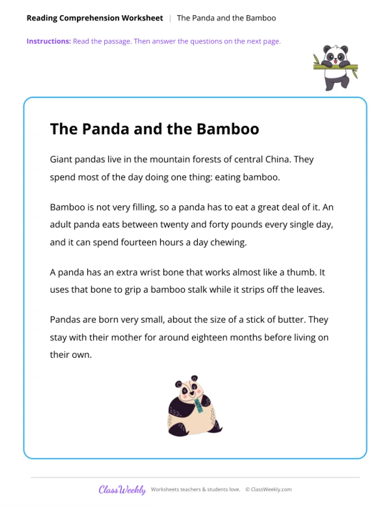 Reading Comprehension - The Panda and the Bamboo - Page 1