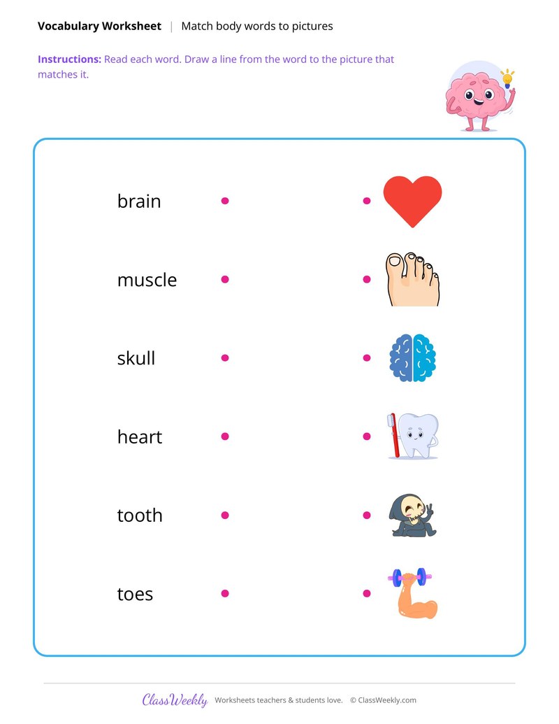 Human Body