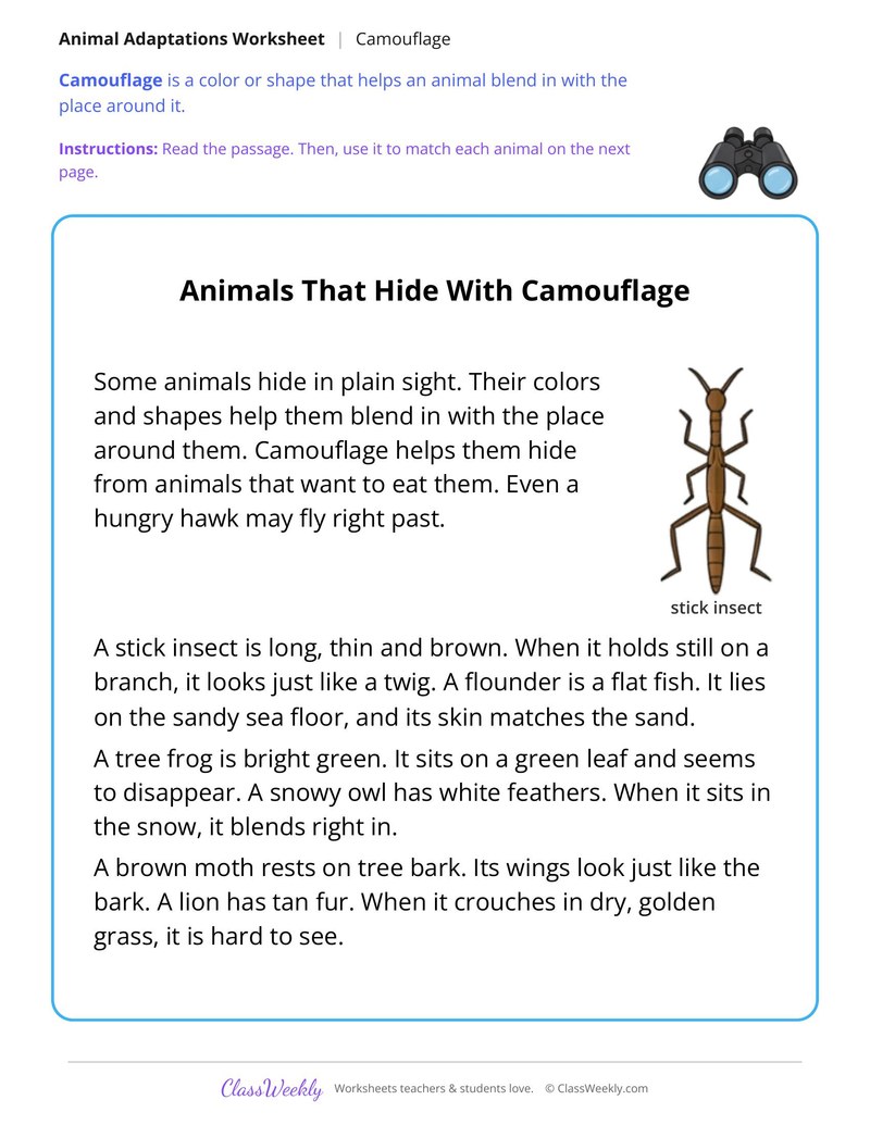 Animals That Hide With Camouflage, Read and Match - Page 1