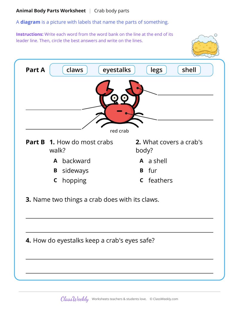 Crab Body Parts, Read and Label - Page 2