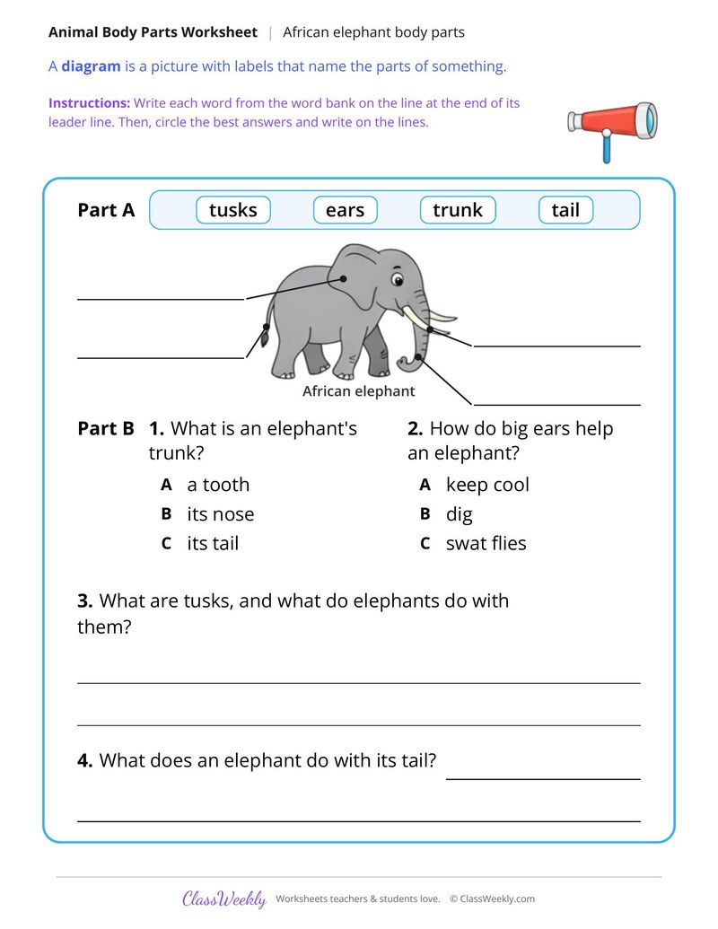Elephant Body Parts, Read and Label - Page 2