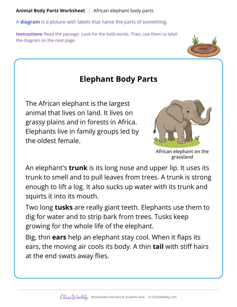 Elephant Body Parts, Read and Label - Page 1