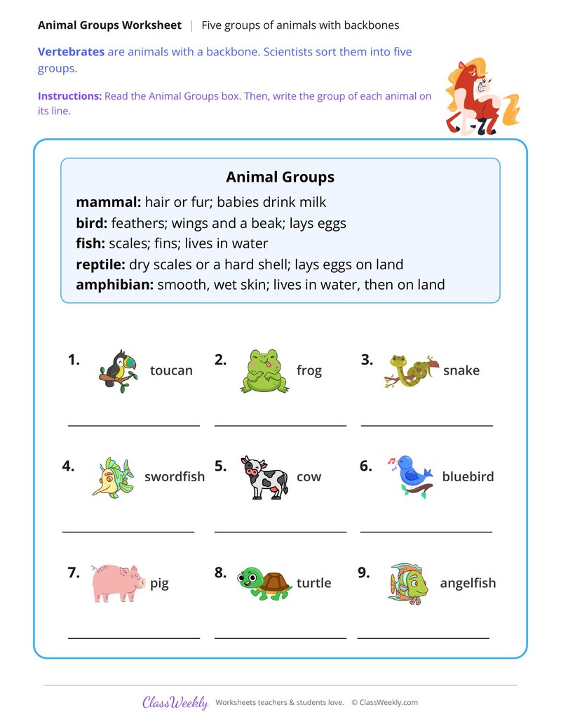 Five Groups of Animals With Backbones