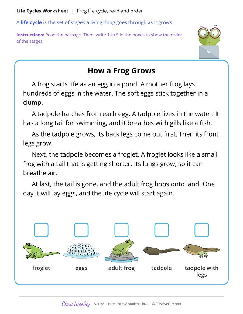 Frog Life Cycle, Read and Order