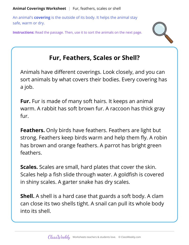 Fur, Feathers, Scales or Shell? Read and Sort - Page 1