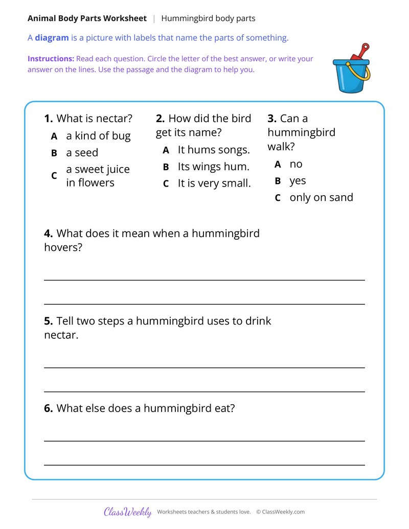 How a Hummingbird Drinks Nectar, Read and Answer - Page 2