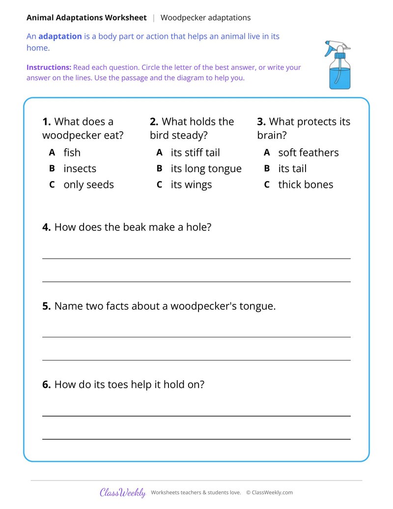 How a Woodpecker Finds Food, Read and Answer - Page 2
