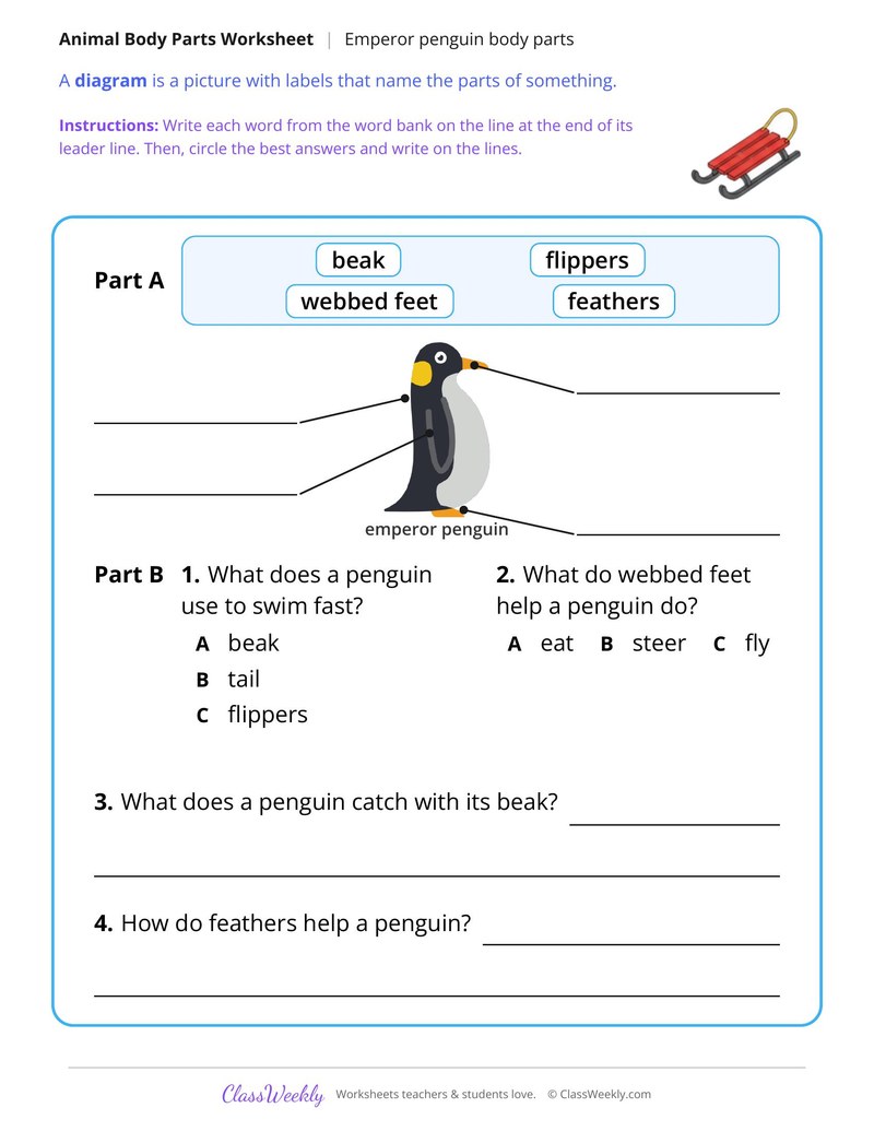 Penguin Body Parts, Read and Label - Page 2
