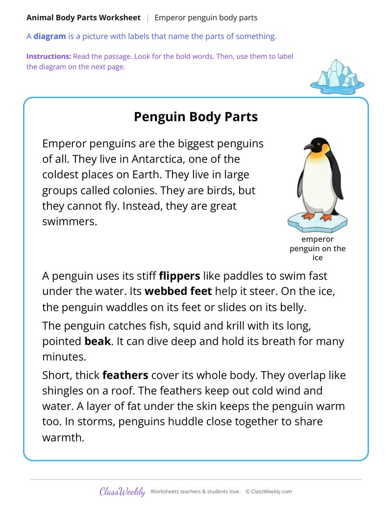 Penguin Body Parts, Read and Label - Page 1