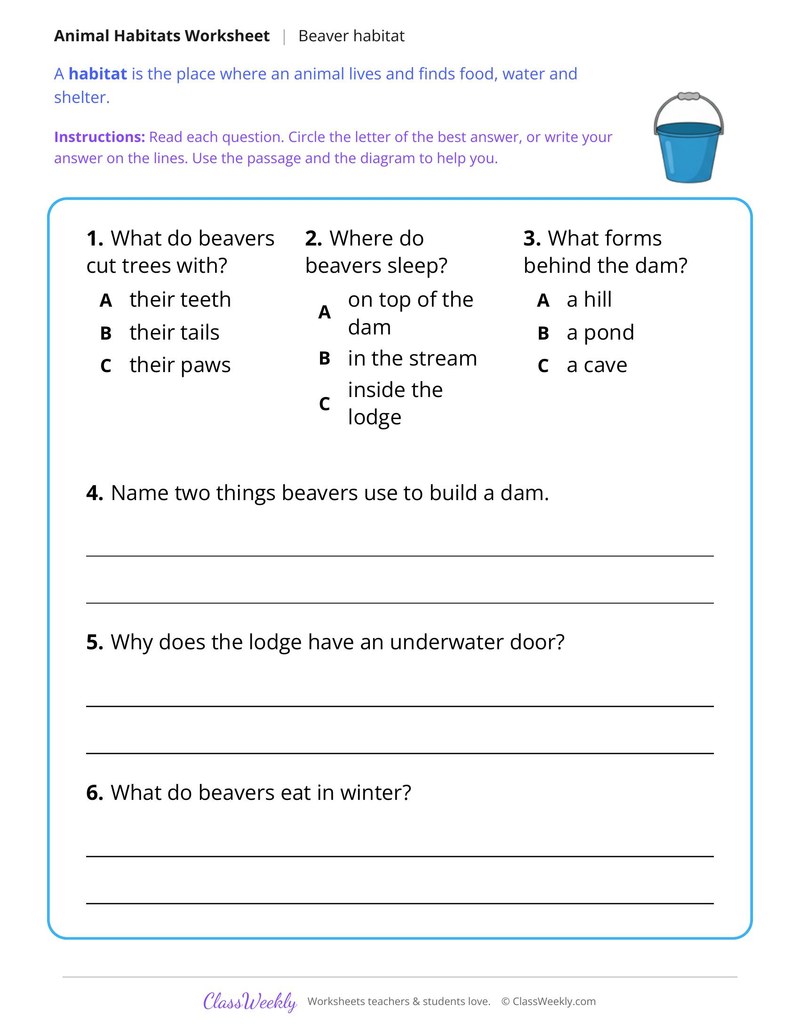 Where a Beaver Lives, Read and Answer - Page 2