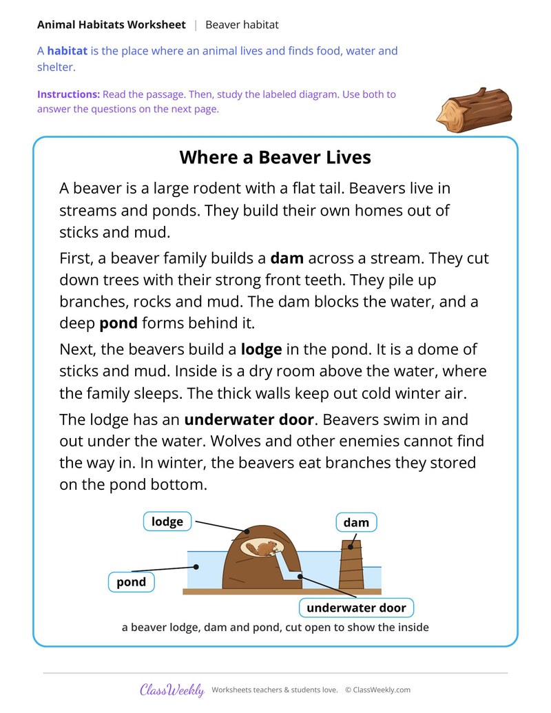 Where a Beaver Lives, Read and Answer - Page 1