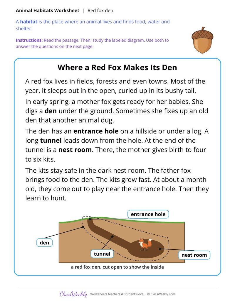 Where a Red Fox Makes Its Den, Read and Answer - Page 1