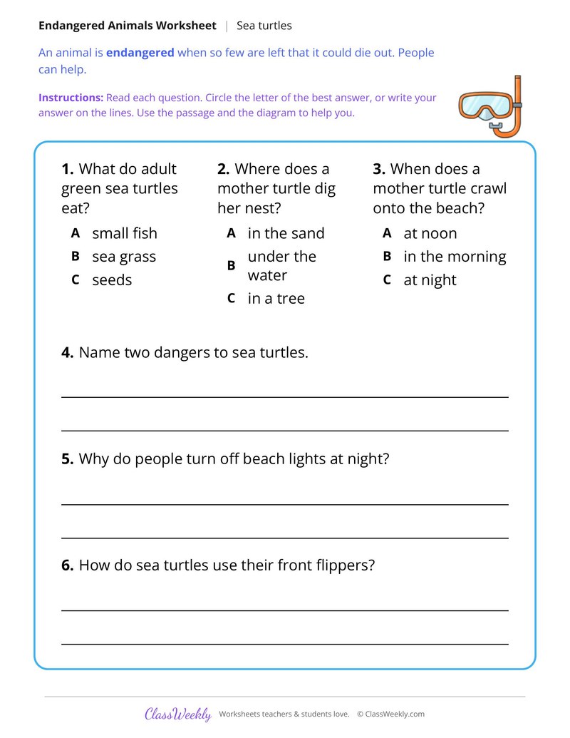 Why Sea Turtles Need Help, Read and Answer - Page 2