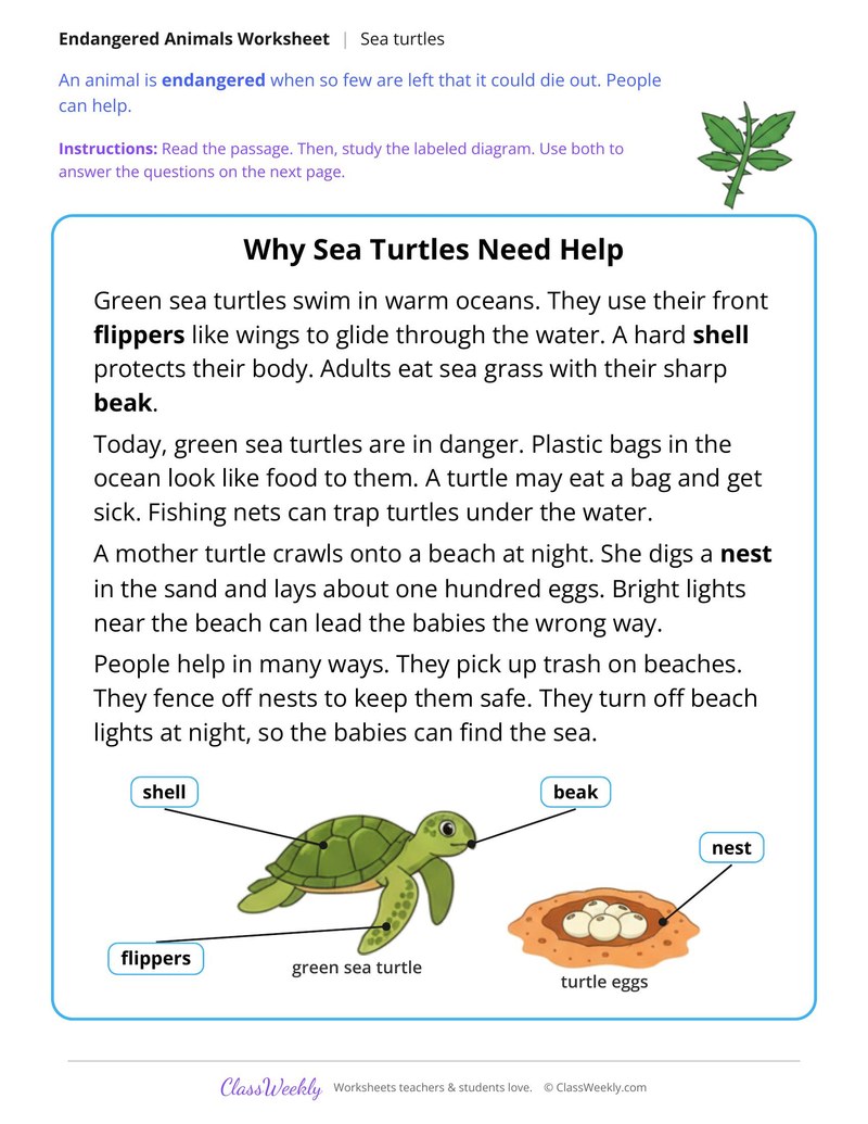 Why Sea Turtles Need Help, Read and Answer - Page 1