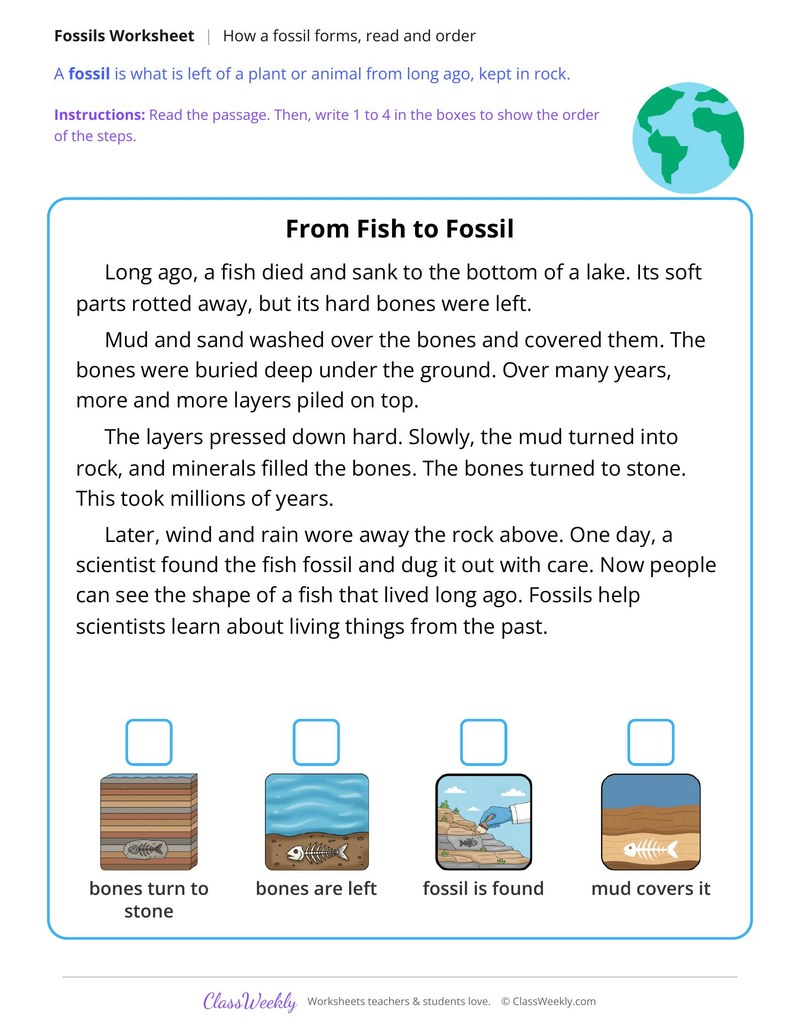 How a Fossil Forms, Read and Order
