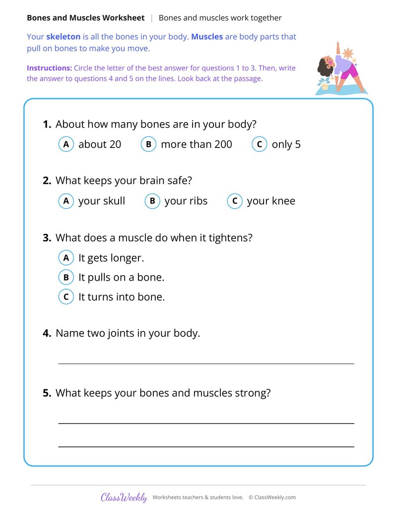 Bones and Muscles Work Together - Page 2