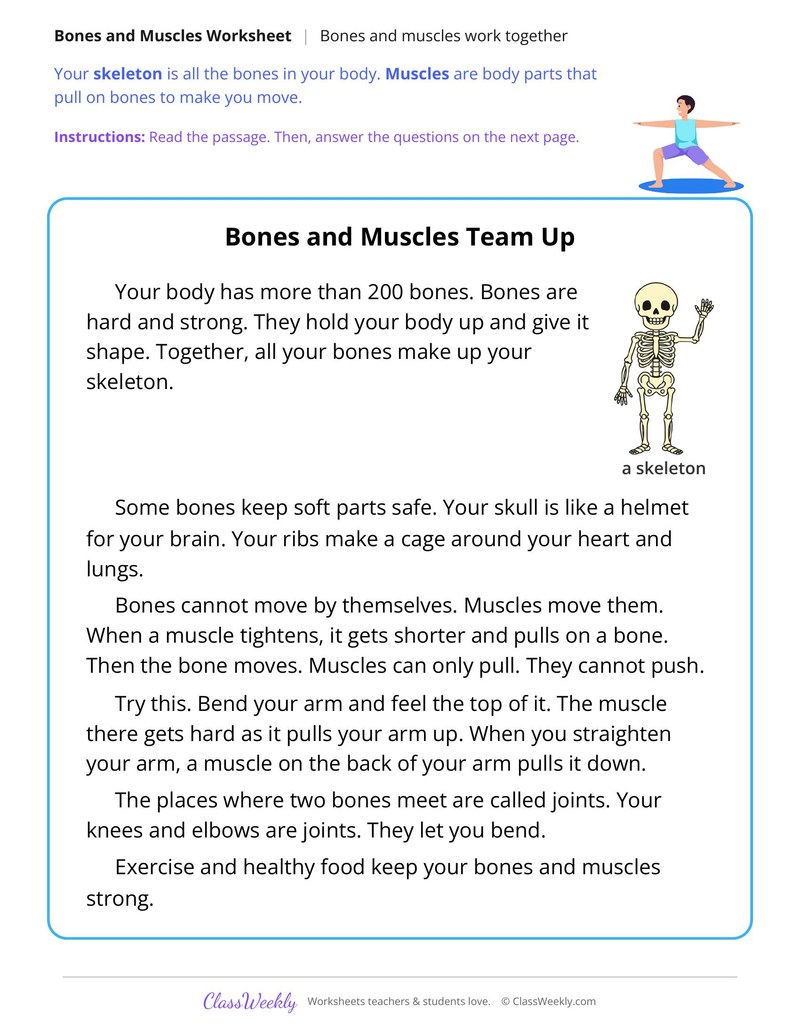 Bones and Muscles Work Together - Page 1