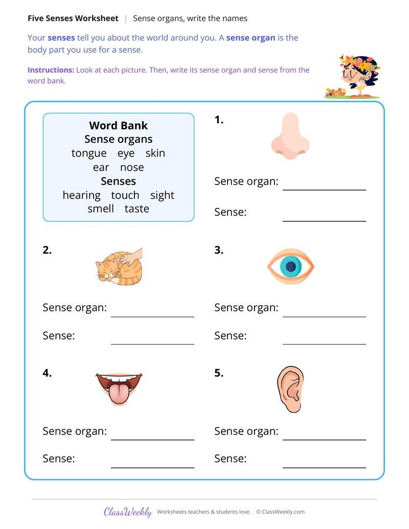 Sense Organs, Write the Names