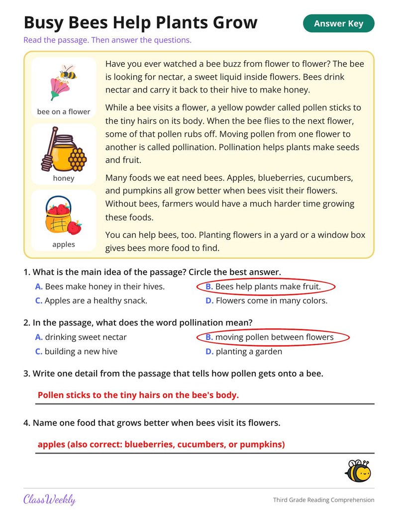 Third Grade Reading Comprehension