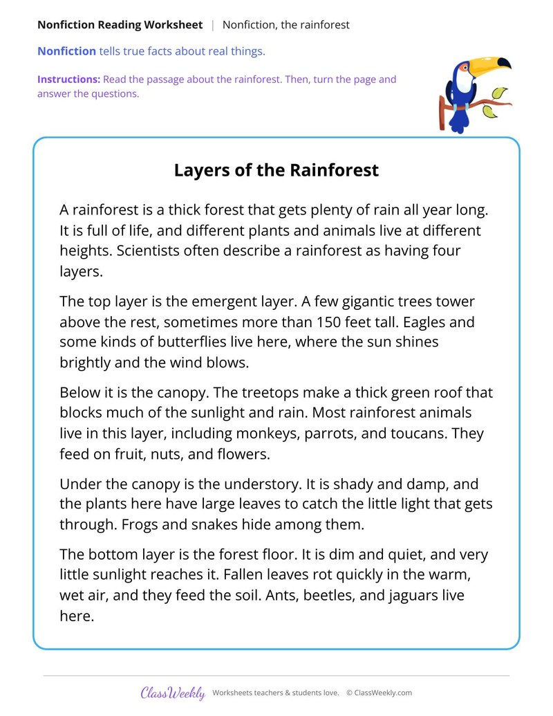 Layers of the Rainforest (Nonfiction Passage) - Page 1