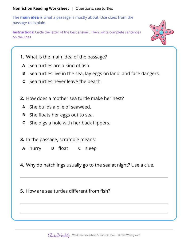 Sea Turtles (Nonfiction Passage)