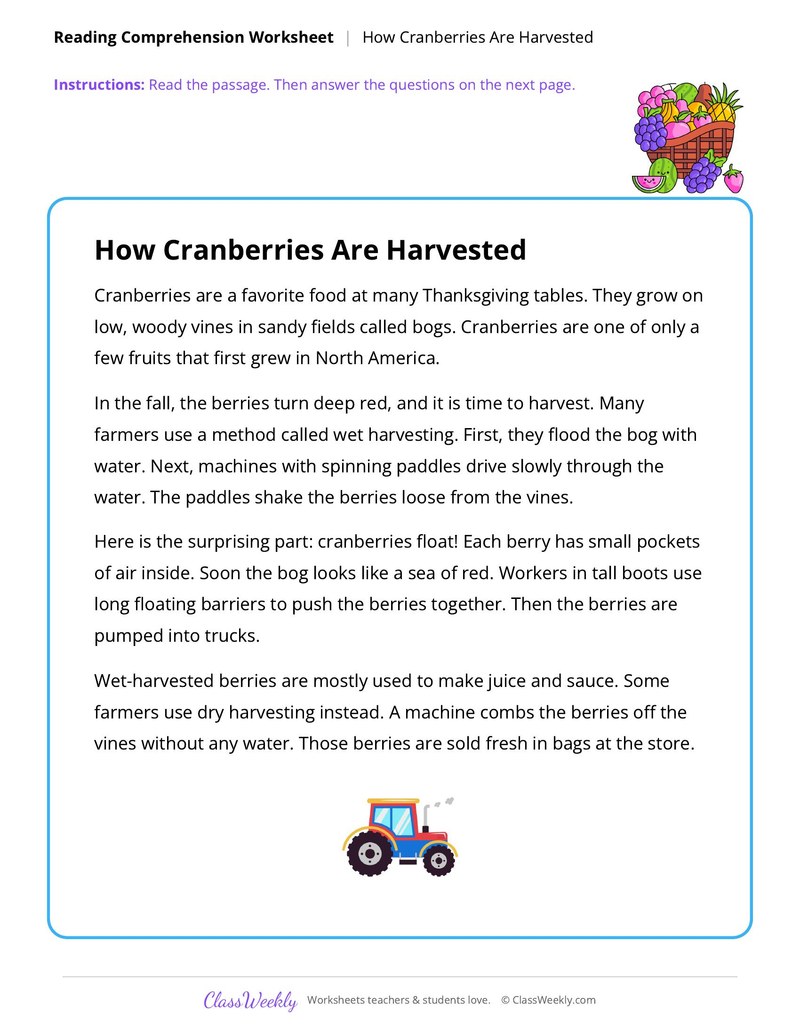 Reading, cranberries - Thanksgiving - Page 1