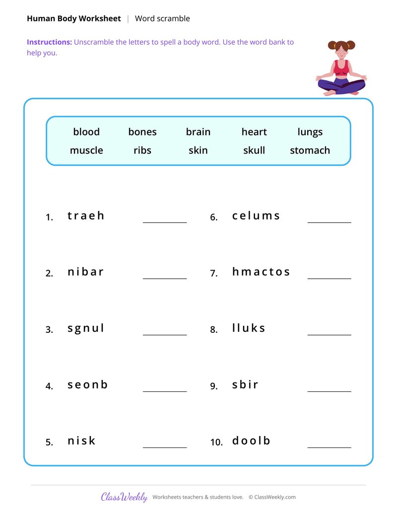 Human Body
