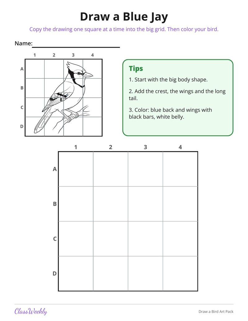 Draw a Bird Art Pack - Page 2