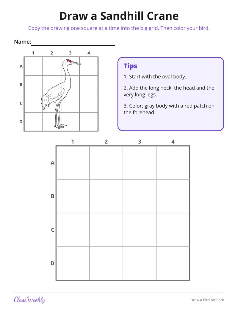 Draw a Bird Art Pack - Page 4