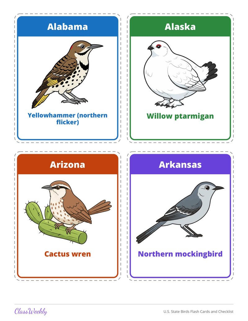 U.S. State Birds Flash Cards and Checklist - Page 3