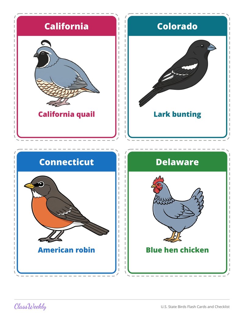 U.S. State Birds Flash Cards and Checklist - Page 4