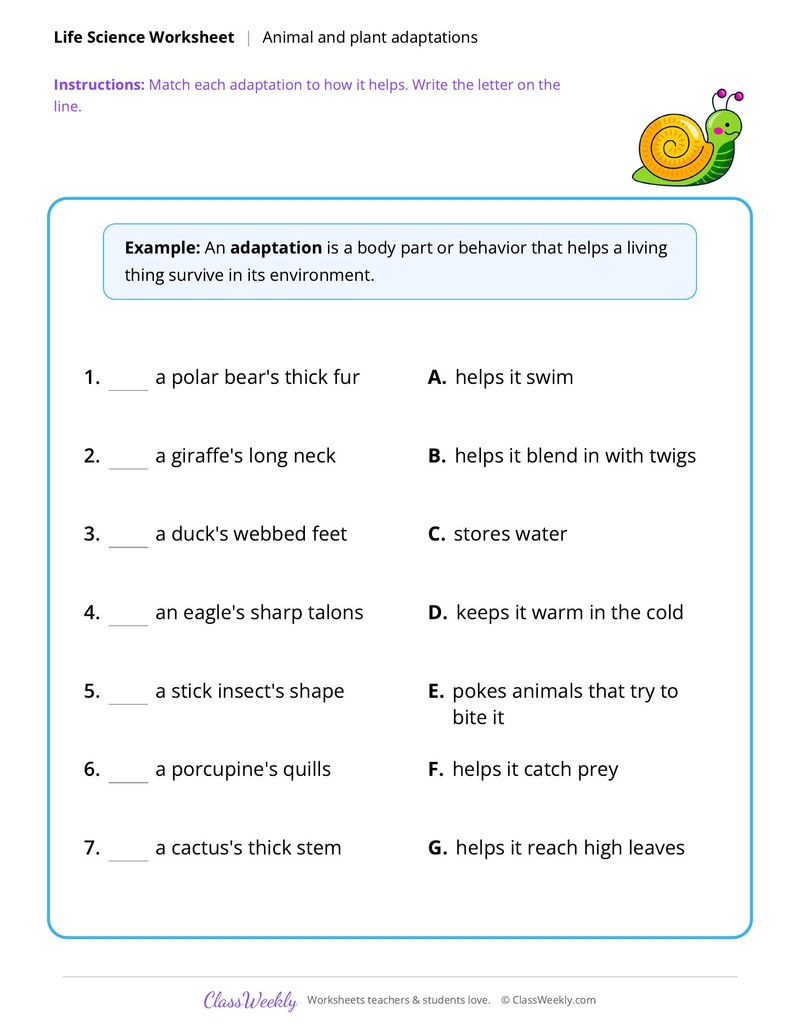 Life Science: Animal and plant adaptations