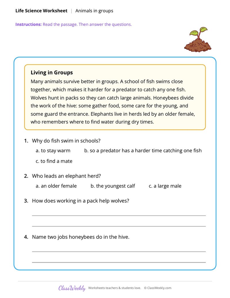 Life Science: Animals in groups