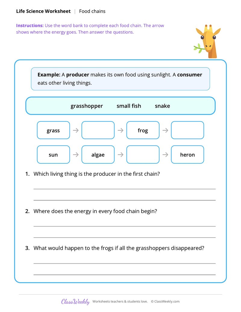 Life Science: Food chains