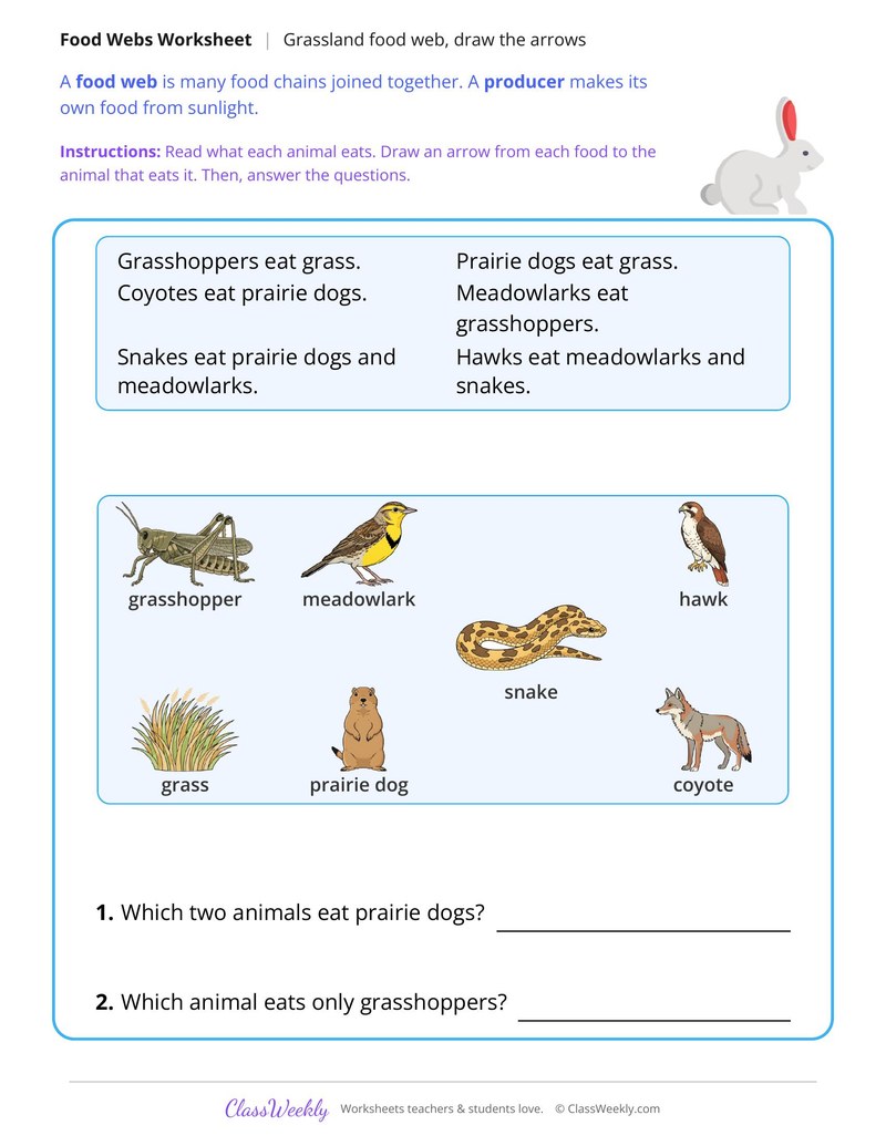 Grassland Food Web, Draw the Arrows