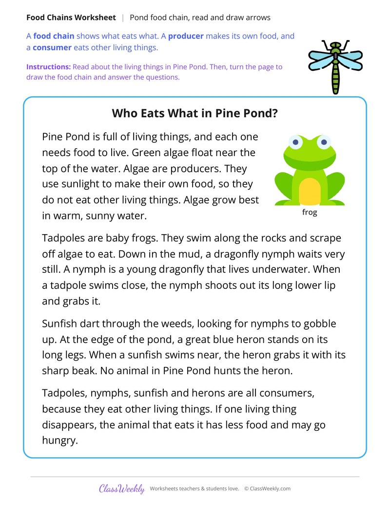 Pond Food Chain, Read and Draw Arrows - Page 1