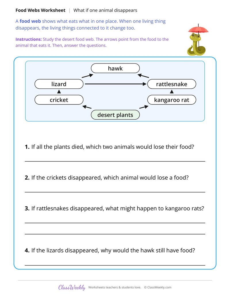 What If One Animal Disappears?