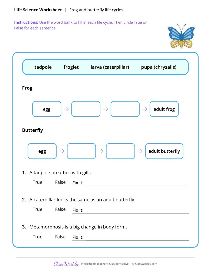Life Science: Frog and butterfly life cycles